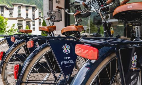 Hotel Le Morgane - photo 3