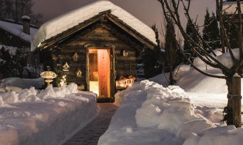 Chalet-Hôtel Hermitage - photo 3