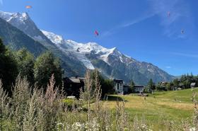 Chalet Hôtel La Sapinière - photo 26