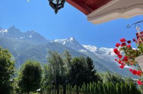 Chalet Hôtel La Sapinière - photo 27